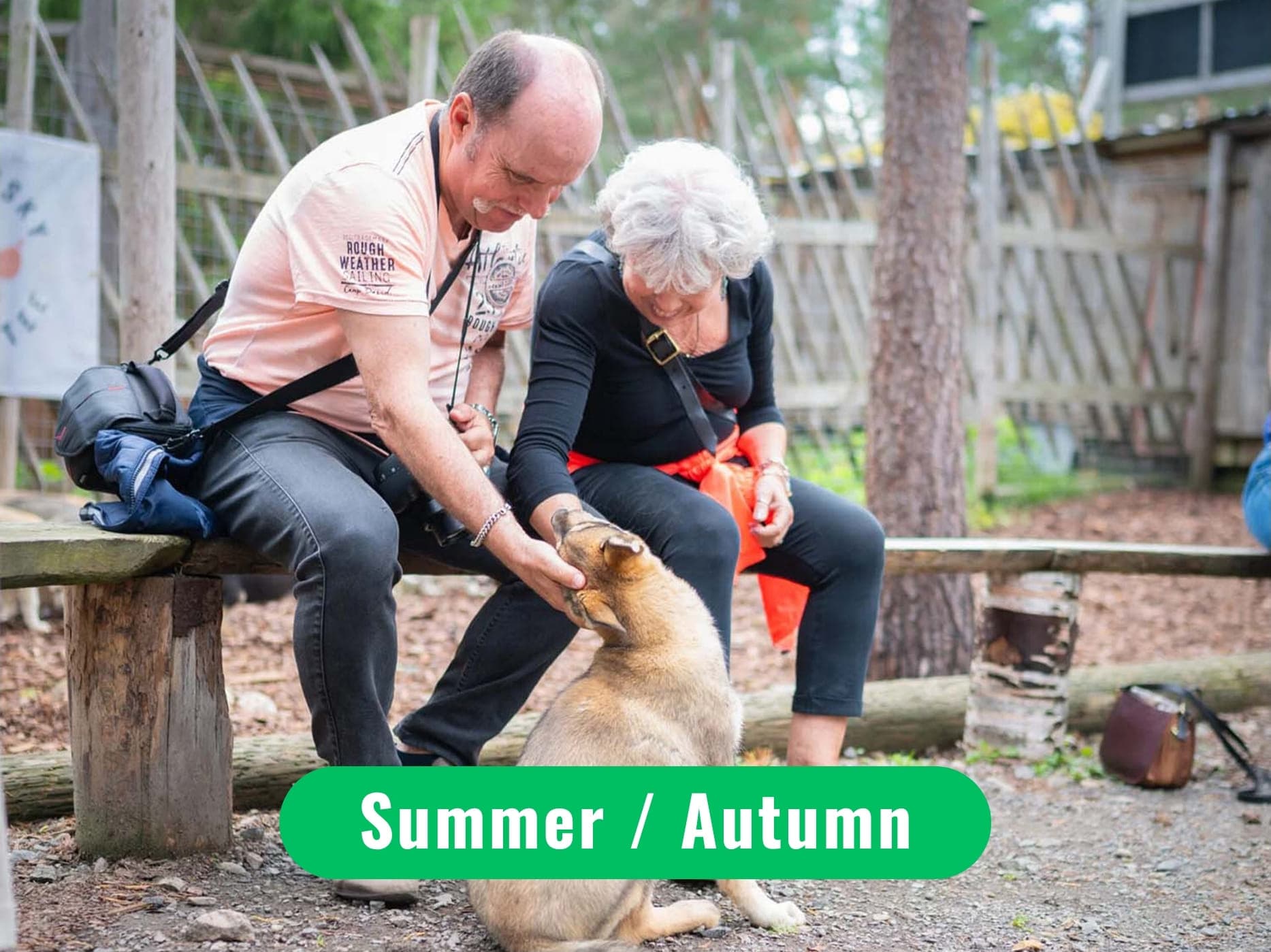 Rovaniemi Husky and Reindeer Experience in Summer with Transfers