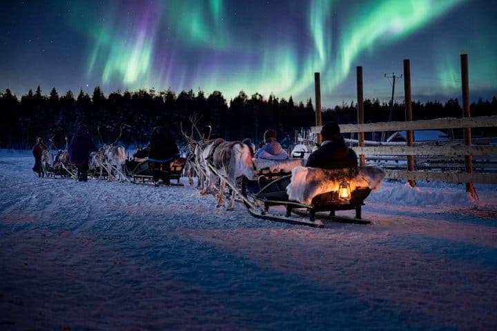 Rovaniemi Northern Lights Reindeer Sleigh Ride 3.5 KM